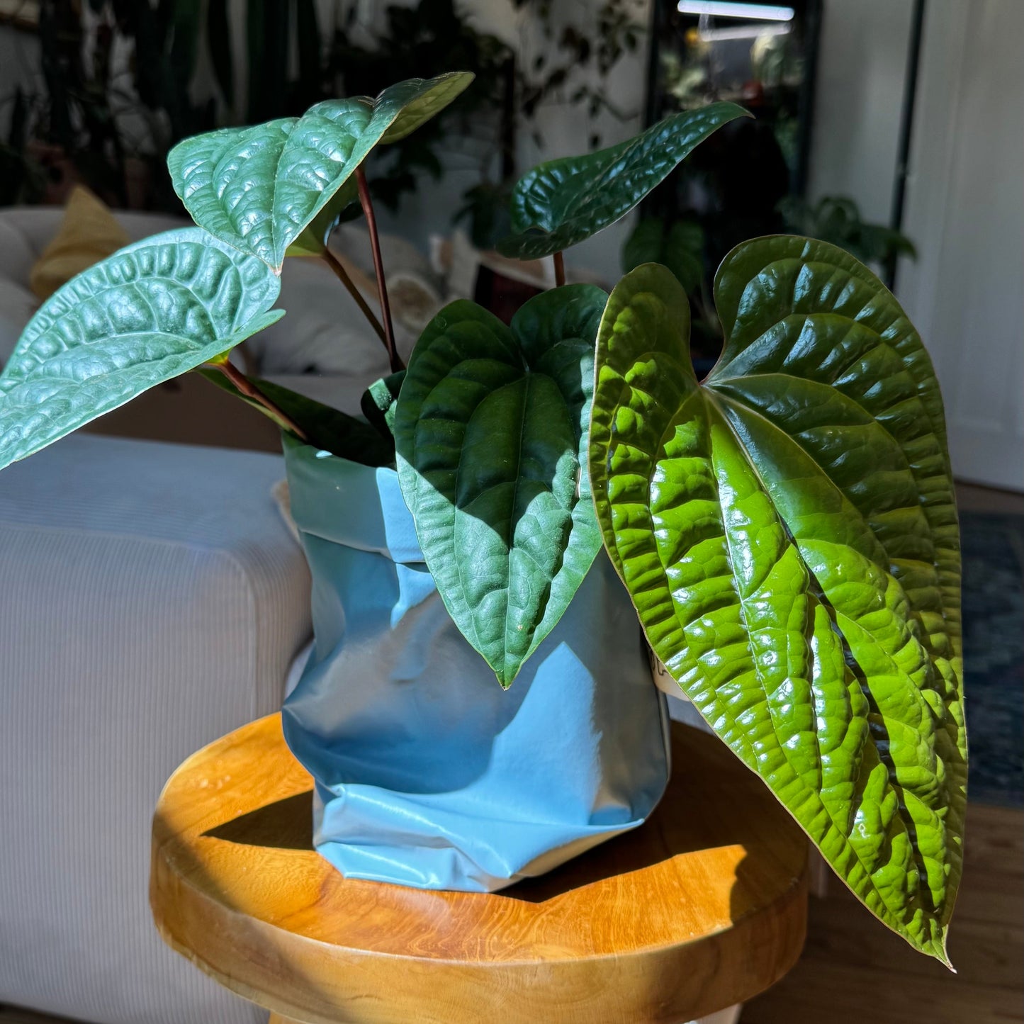 Pottcover blau