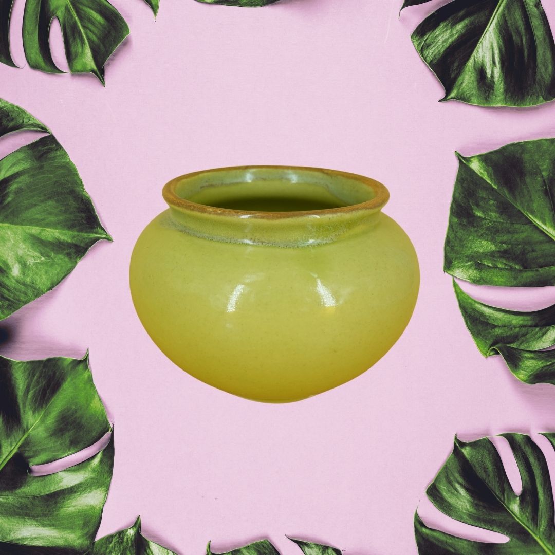 Limegreen Pott