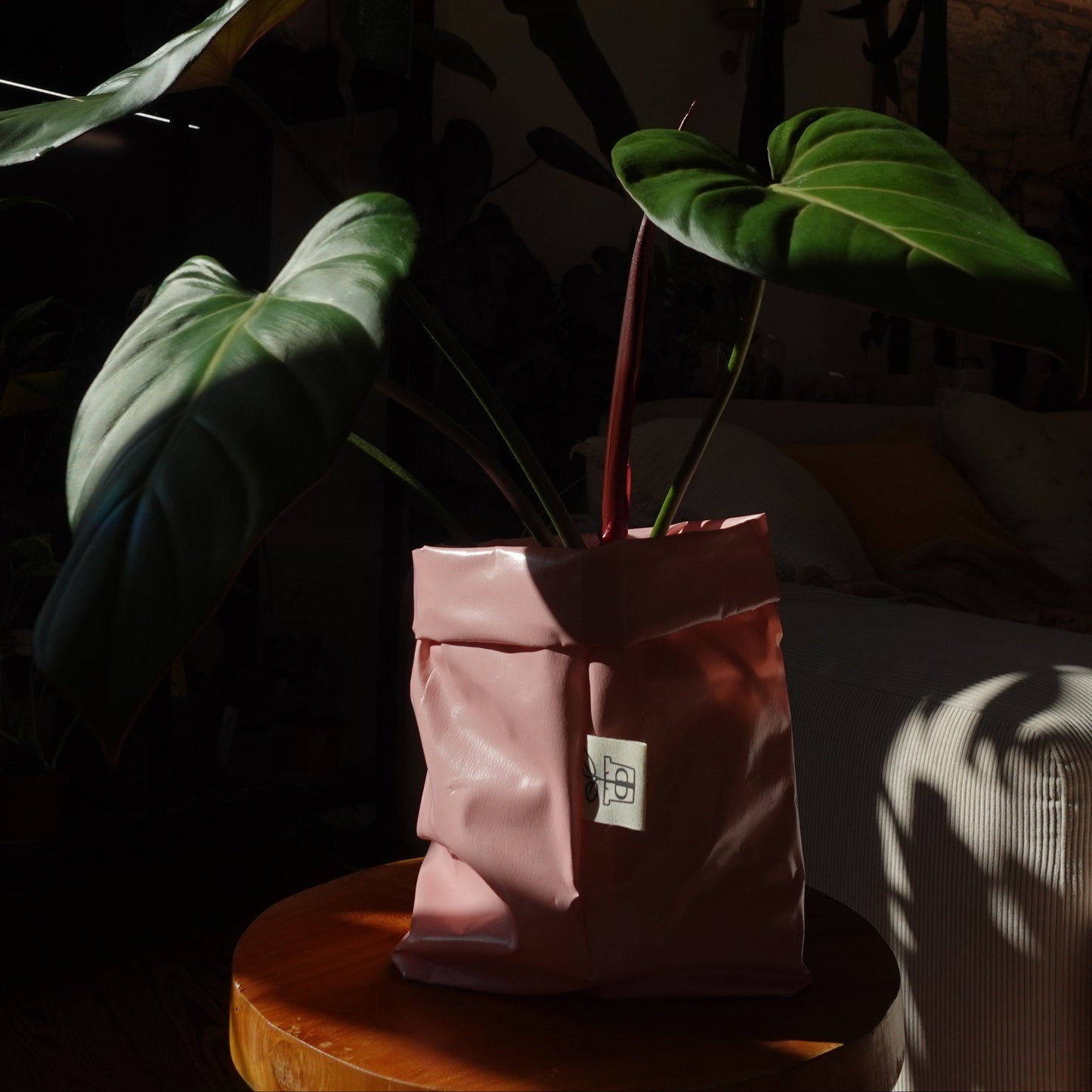 Pottcover Rosa