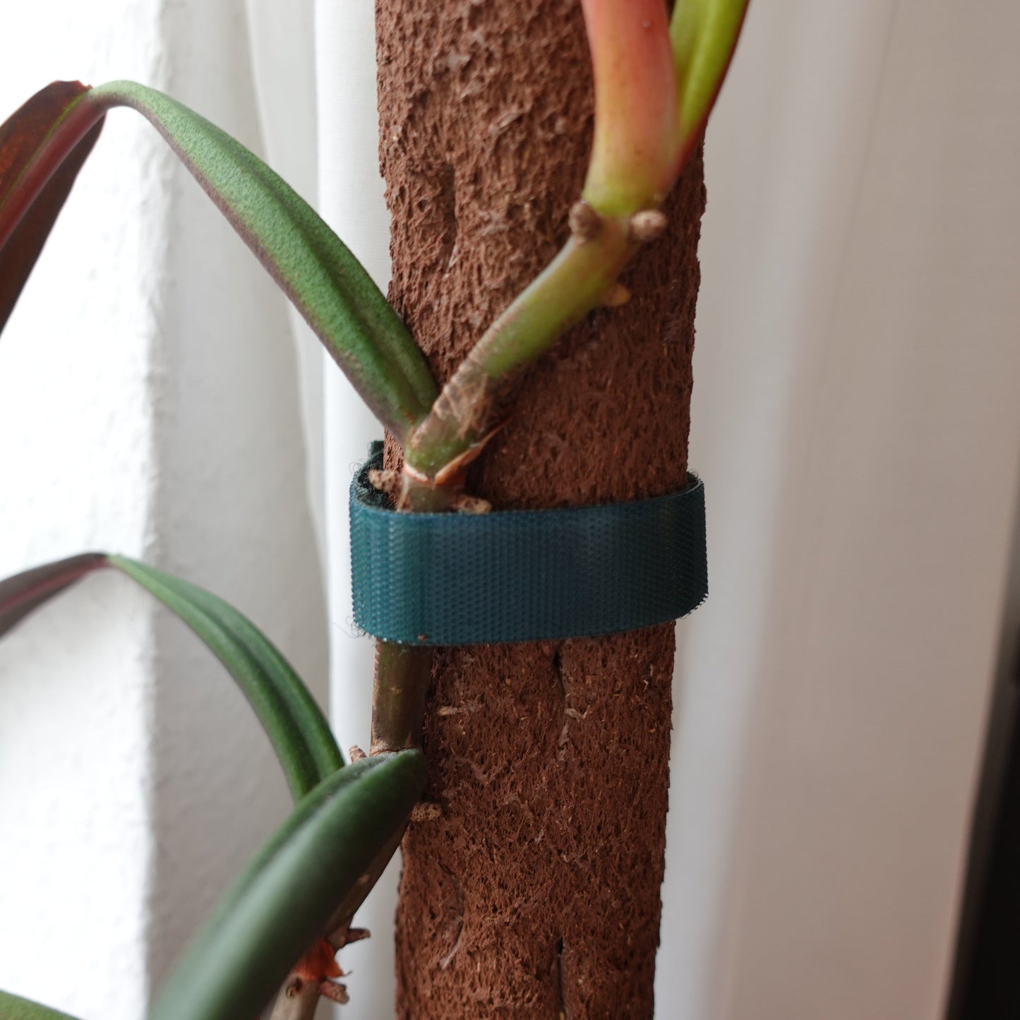Plantband Dunkelgrün