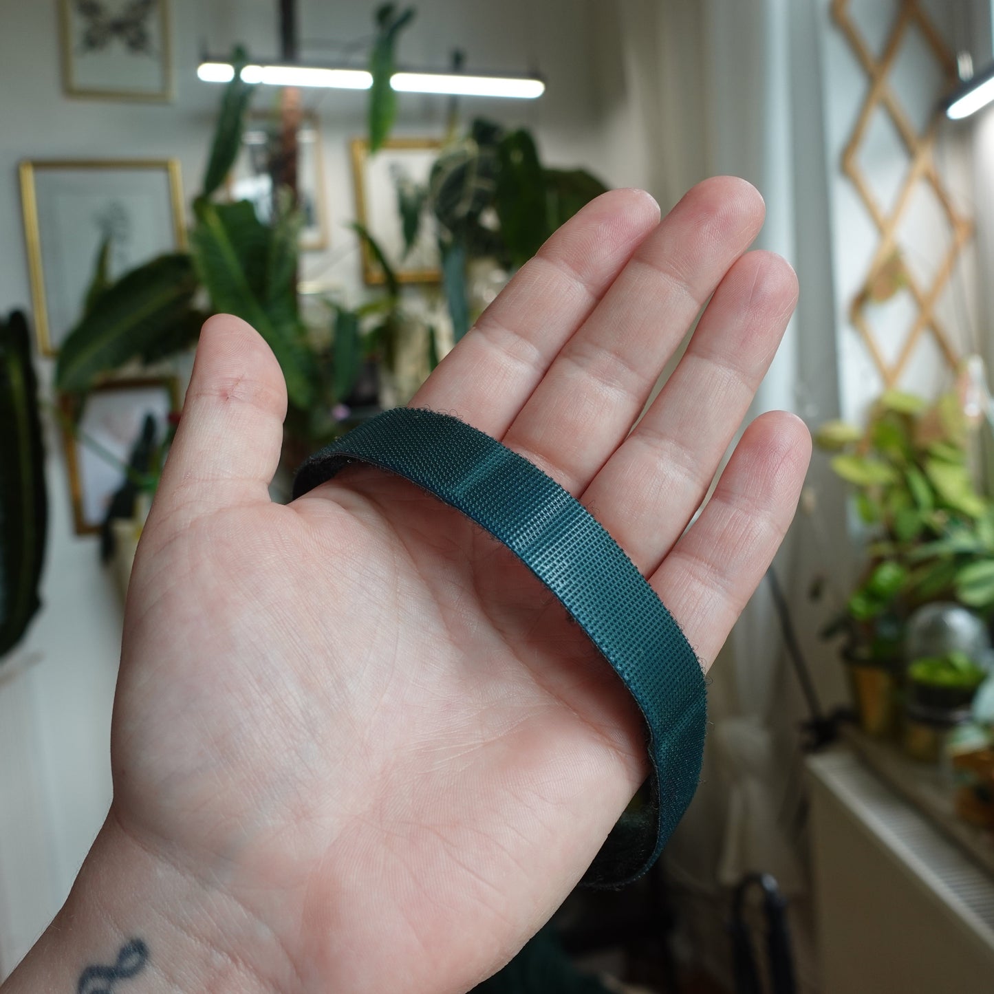 Plantband Dunkelgrün