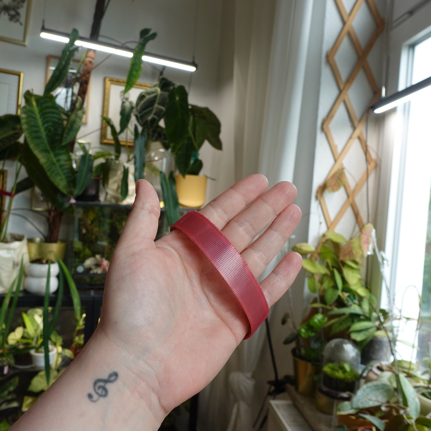 Plantband Rosa