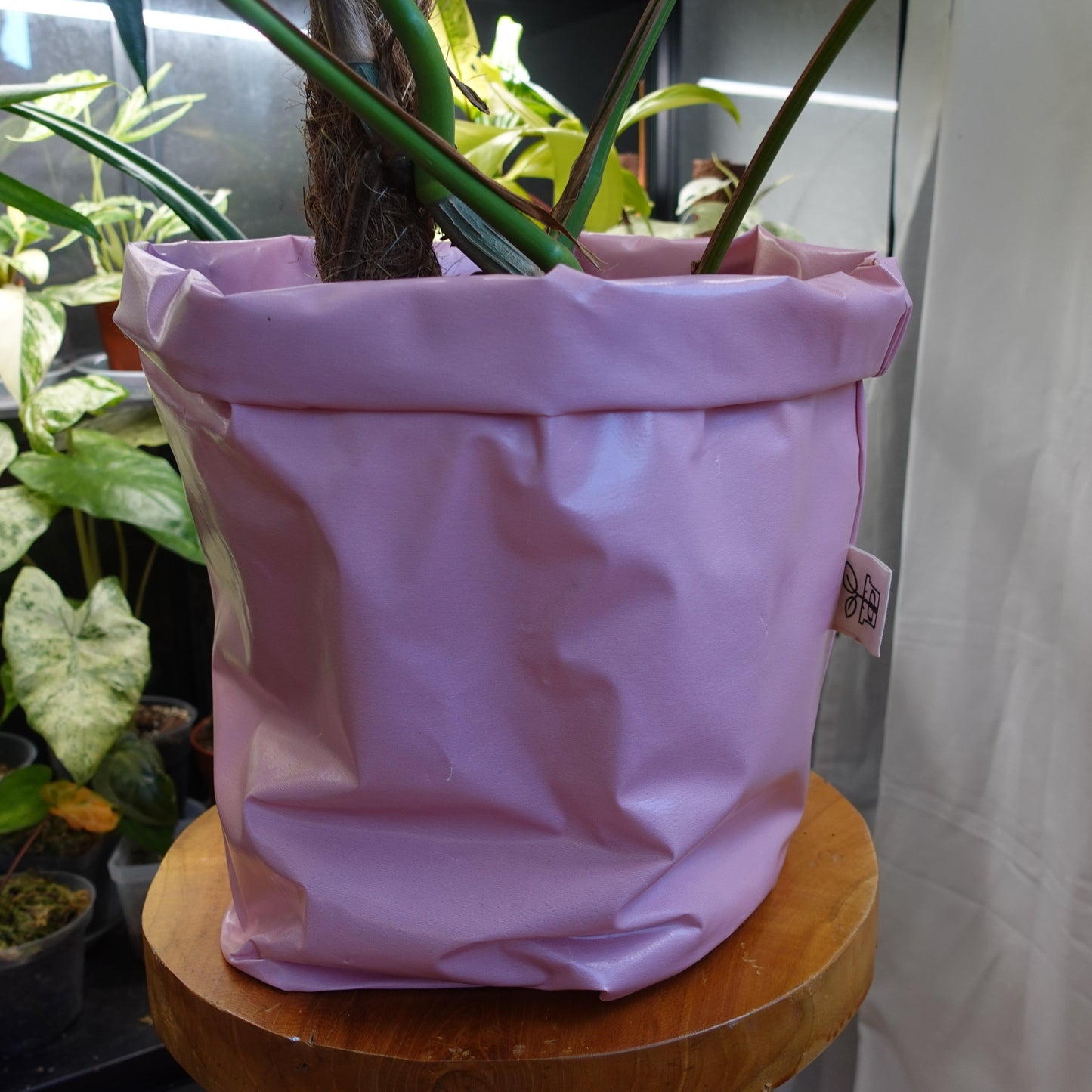 Pottcover Rosa