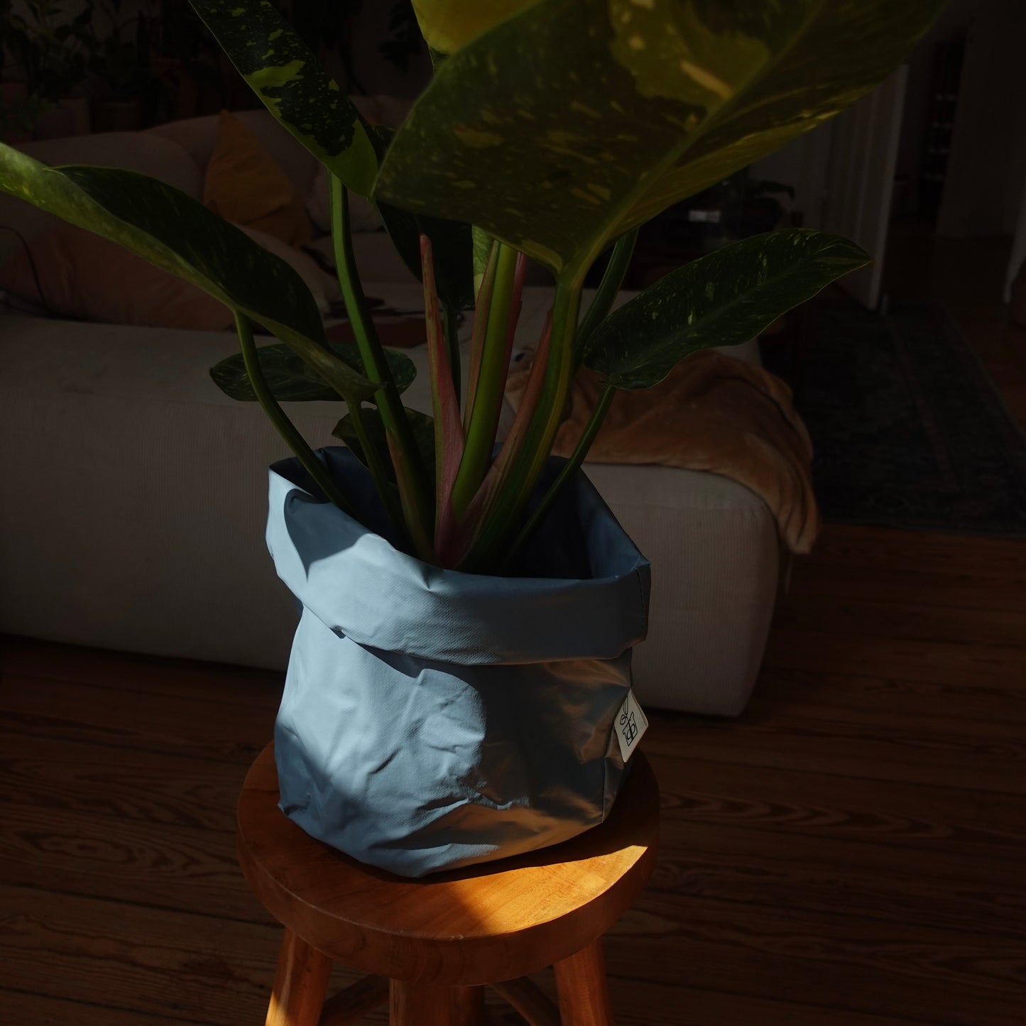 Pottcover blau groß