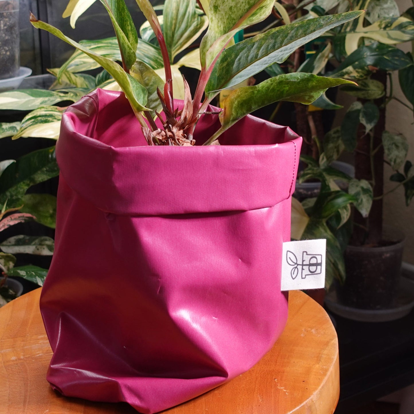 Pottcover pink