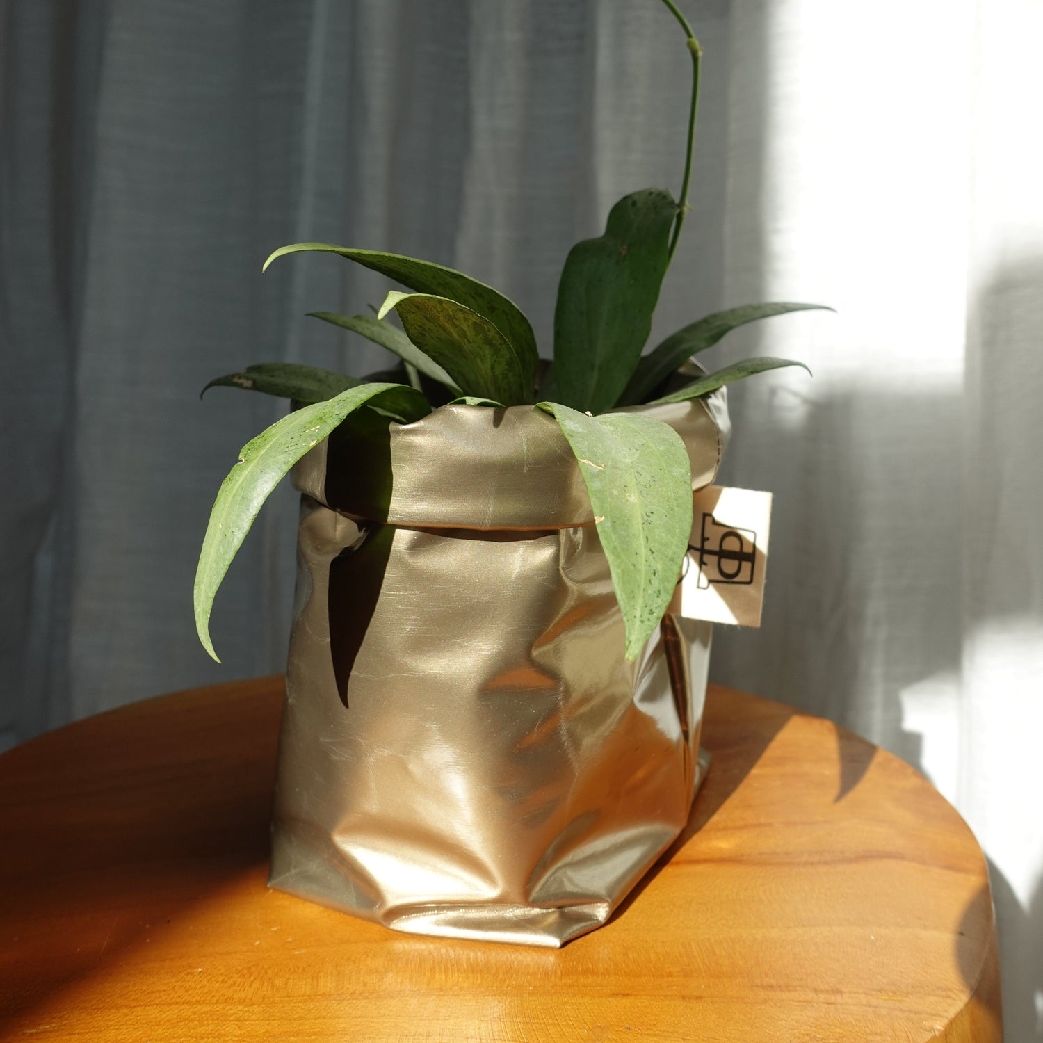 Pottcover mini