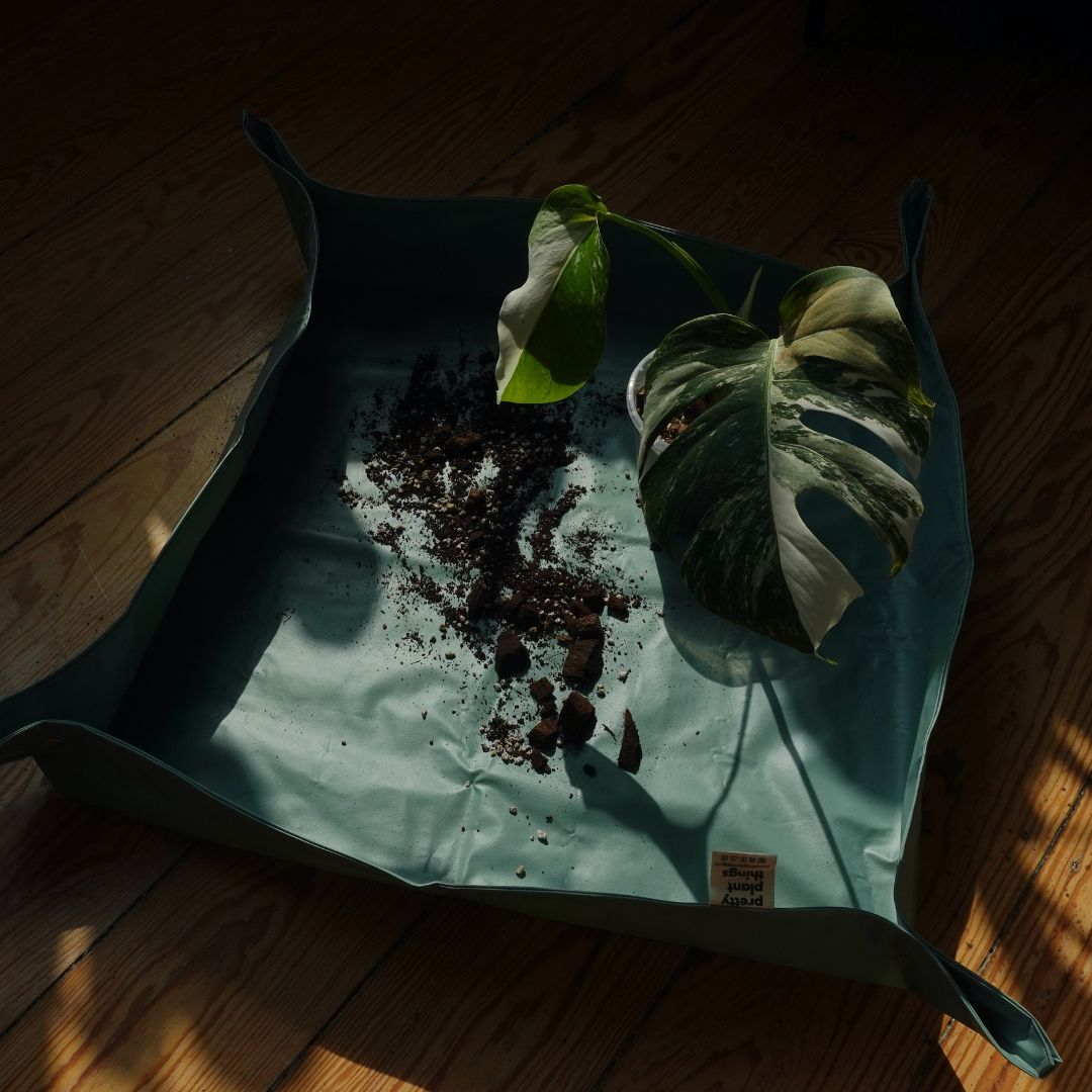 Plantmatt