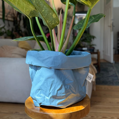 Pottcover blau groß