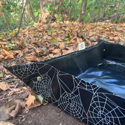 Plantmatt Tarantula