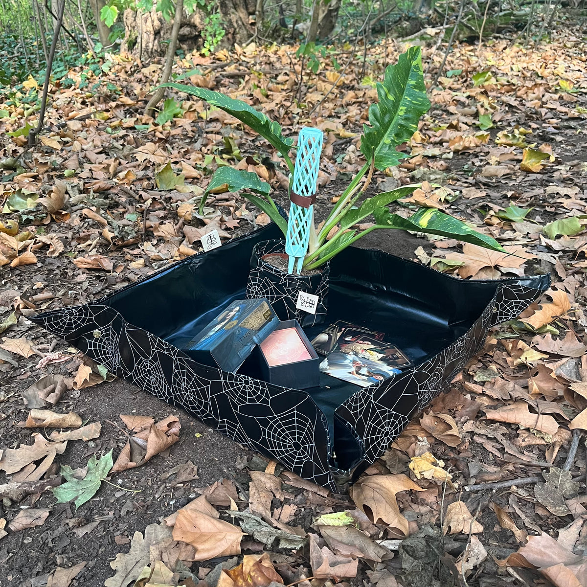 Plantmatt Tarantula