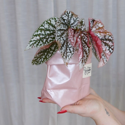 Pottcover rosa mini