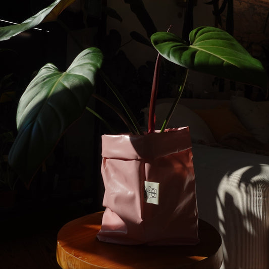 Pottcover Rosa