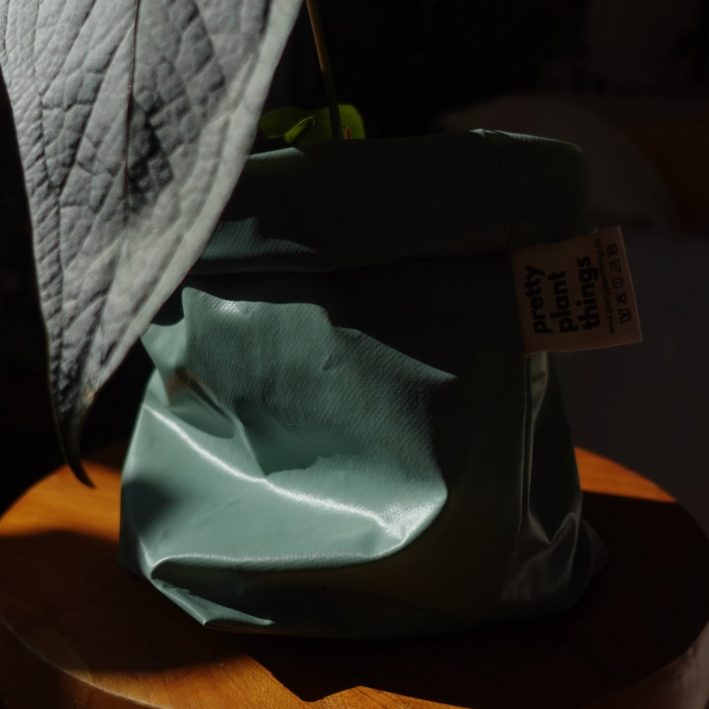 Pottcover Salbei
