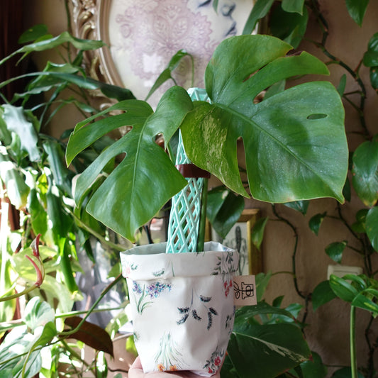 Pottcover floral mini