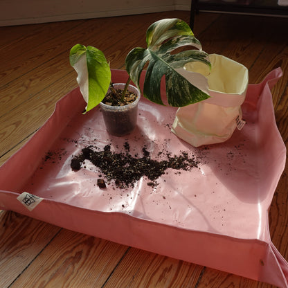 Plantmatt Rosa