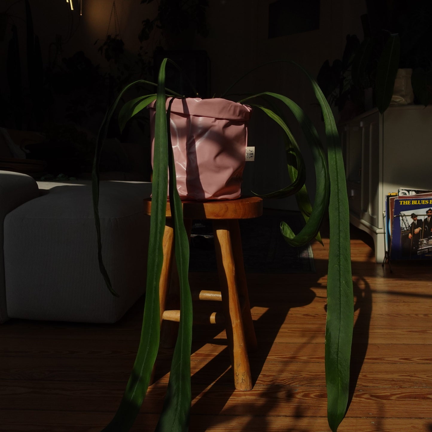 Pottcover Rosa groß