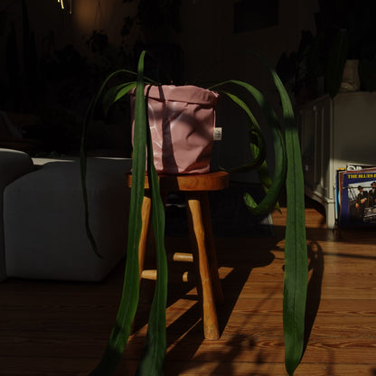 Pottcover Rosa groß