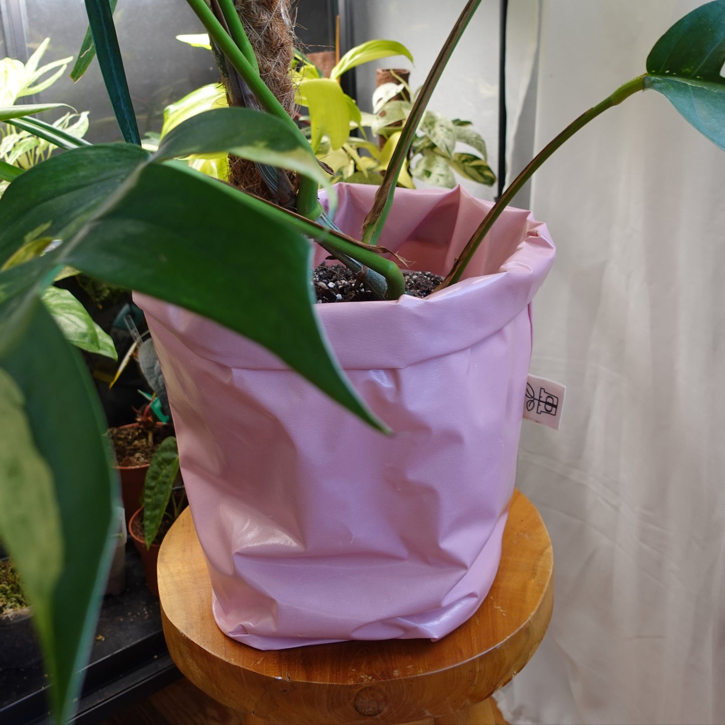 Pottcover Rosa groß