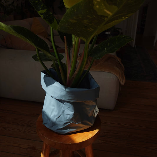 Pottcover blau groß