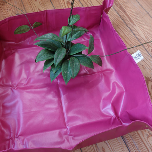 Plantmatt Pink