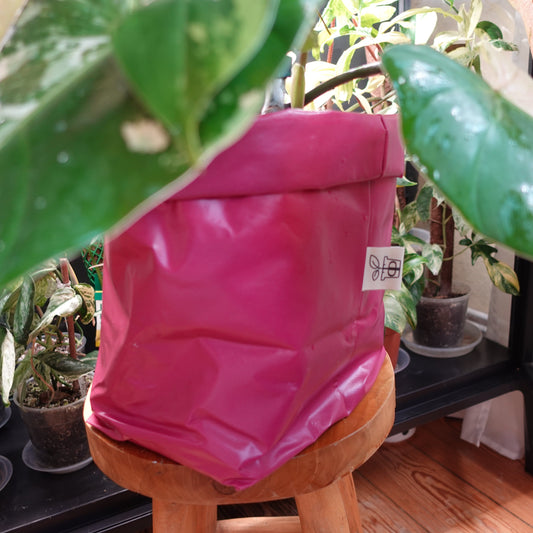 Pottcover pink groß