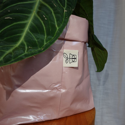 Pottcover Rosa groß