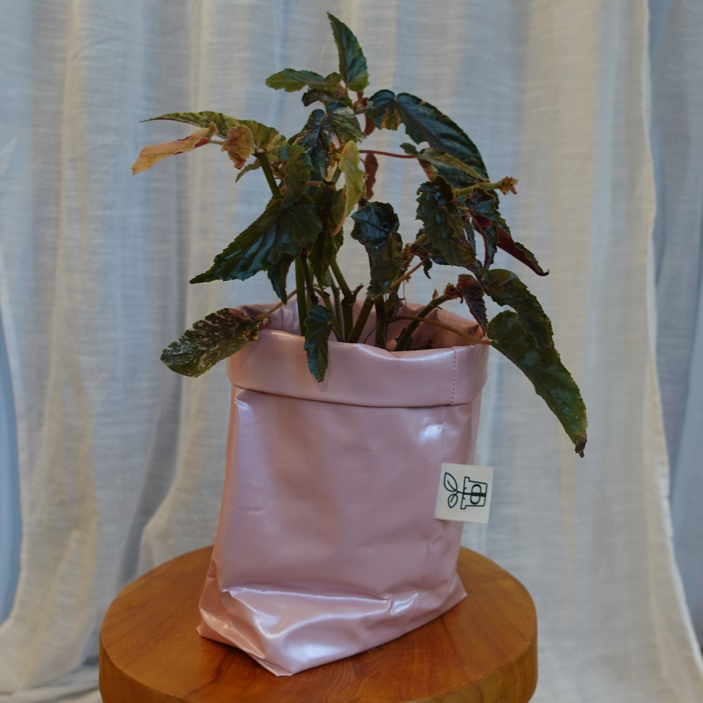 Pottcover Rosa