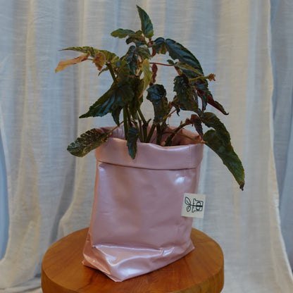 Pottcover Rosa