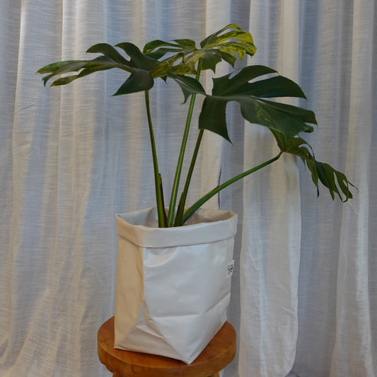 Pottcover Beige groß