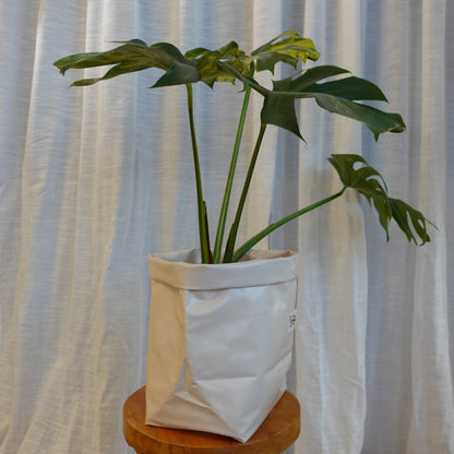 Pottcover Beige groß