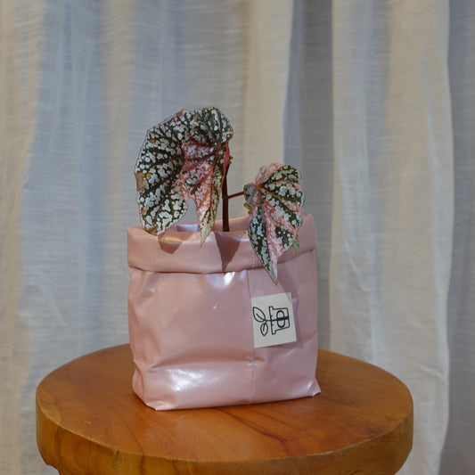 Pottcover rosa mini