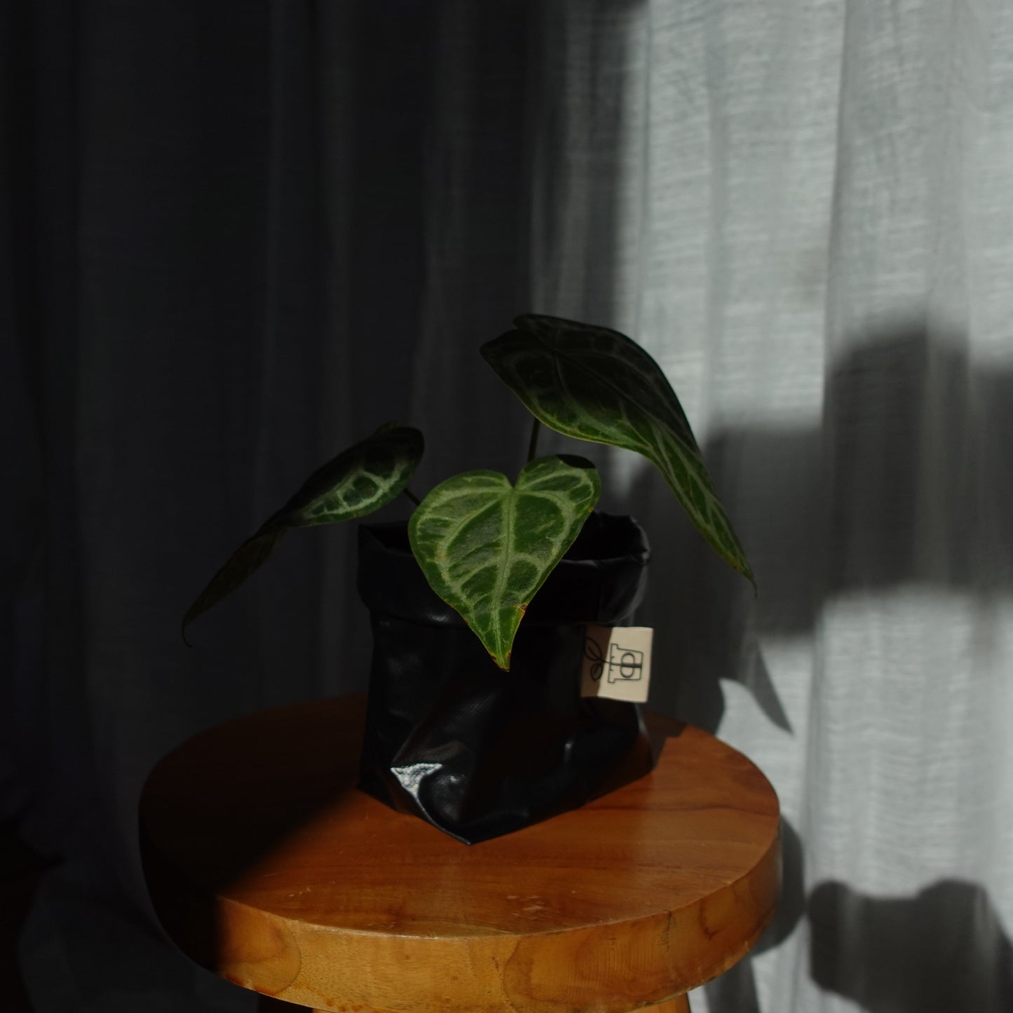 Pottcover schwarz mini
