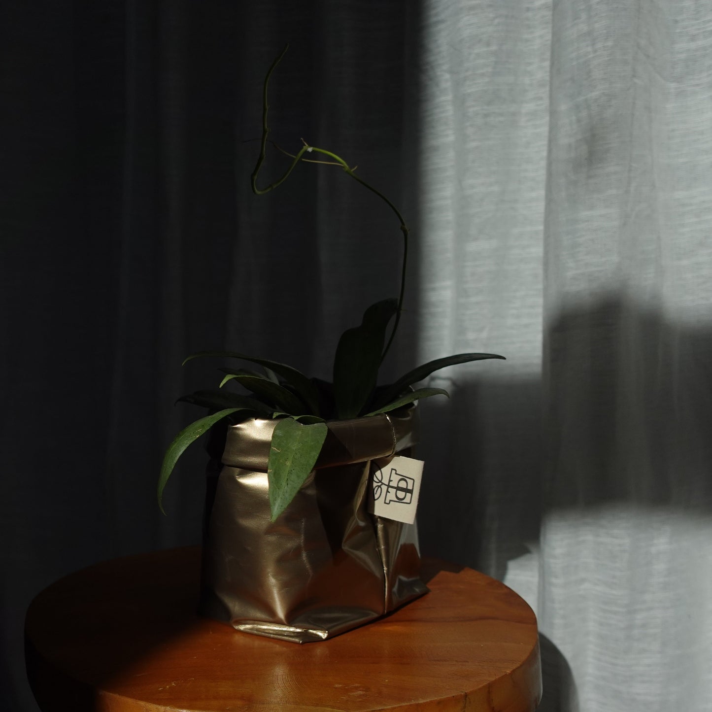 Pottcover gold mini