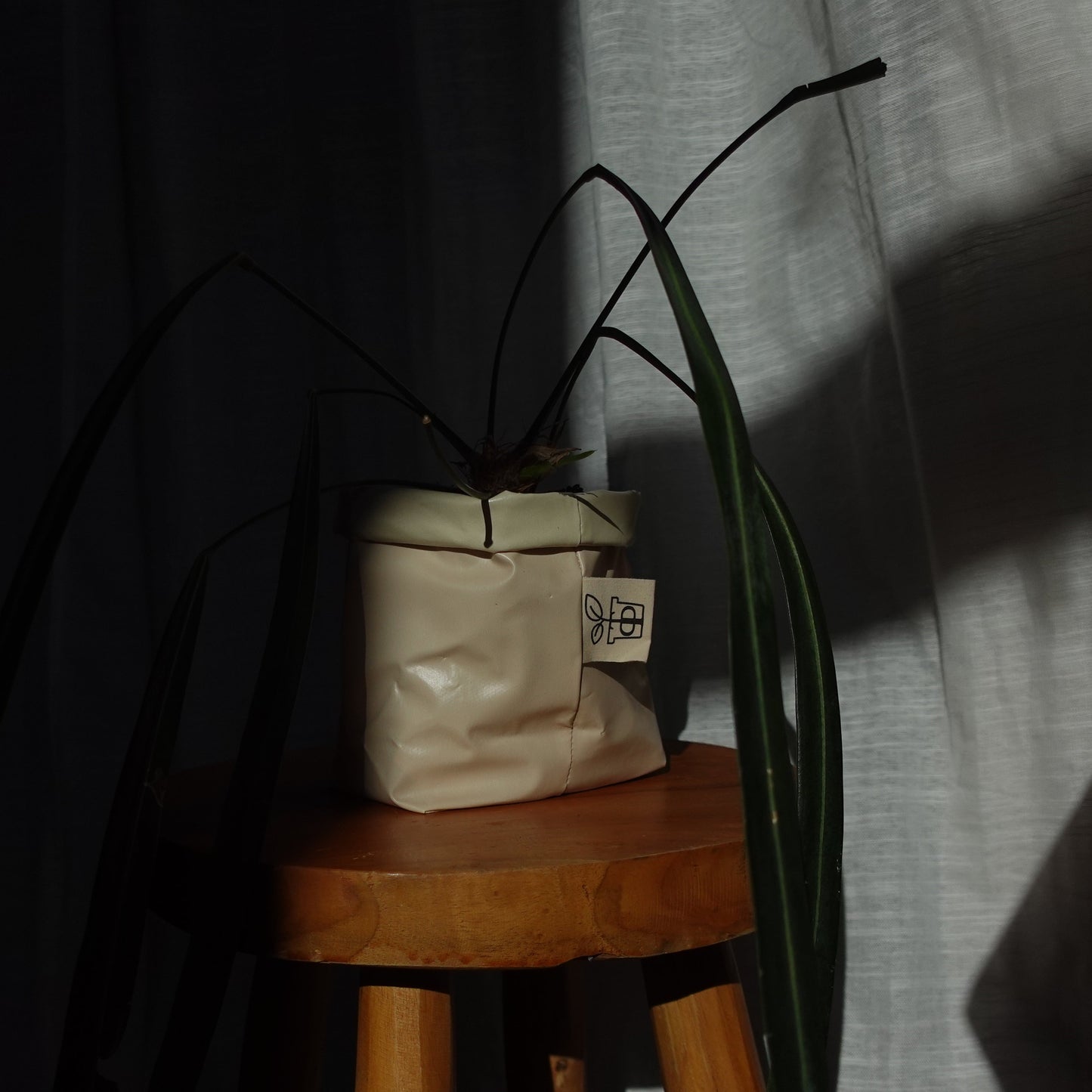 Pottcover beige mini
