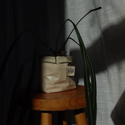 Pottcover beige mini