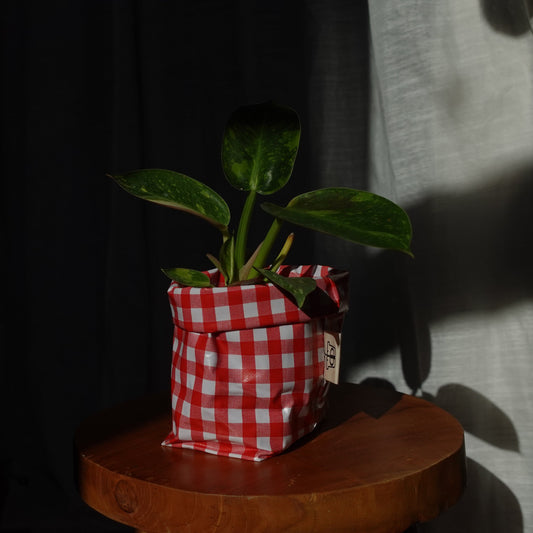 Pottcover karo mini
