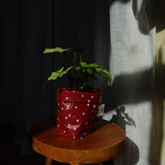 Pottcover herzi mini