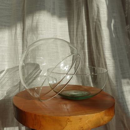 Glaskuppel Terrarium