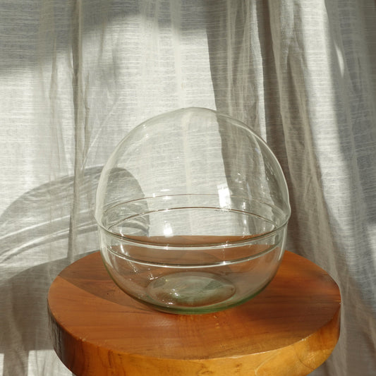 Glaskuppel Terrarium
