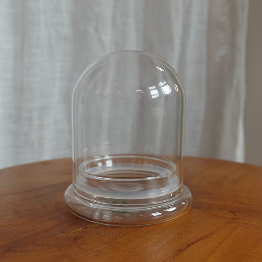 Tiny Terrarium