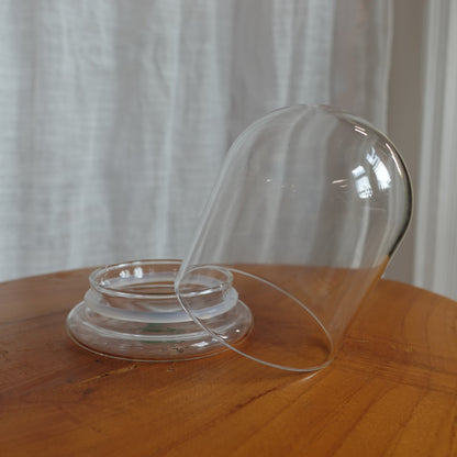 Tiny Terrarium