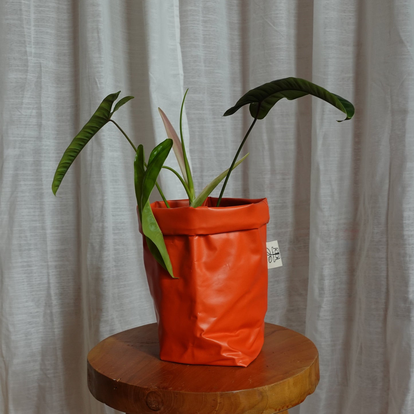 Pottcover orange