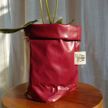 Pottcover Beere