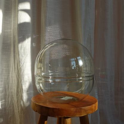 Glaskuppel Terrarium groß