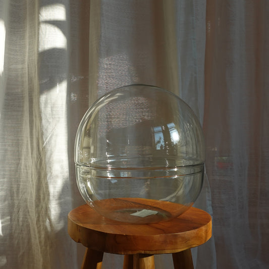 Glaskuppel Terrarium groß