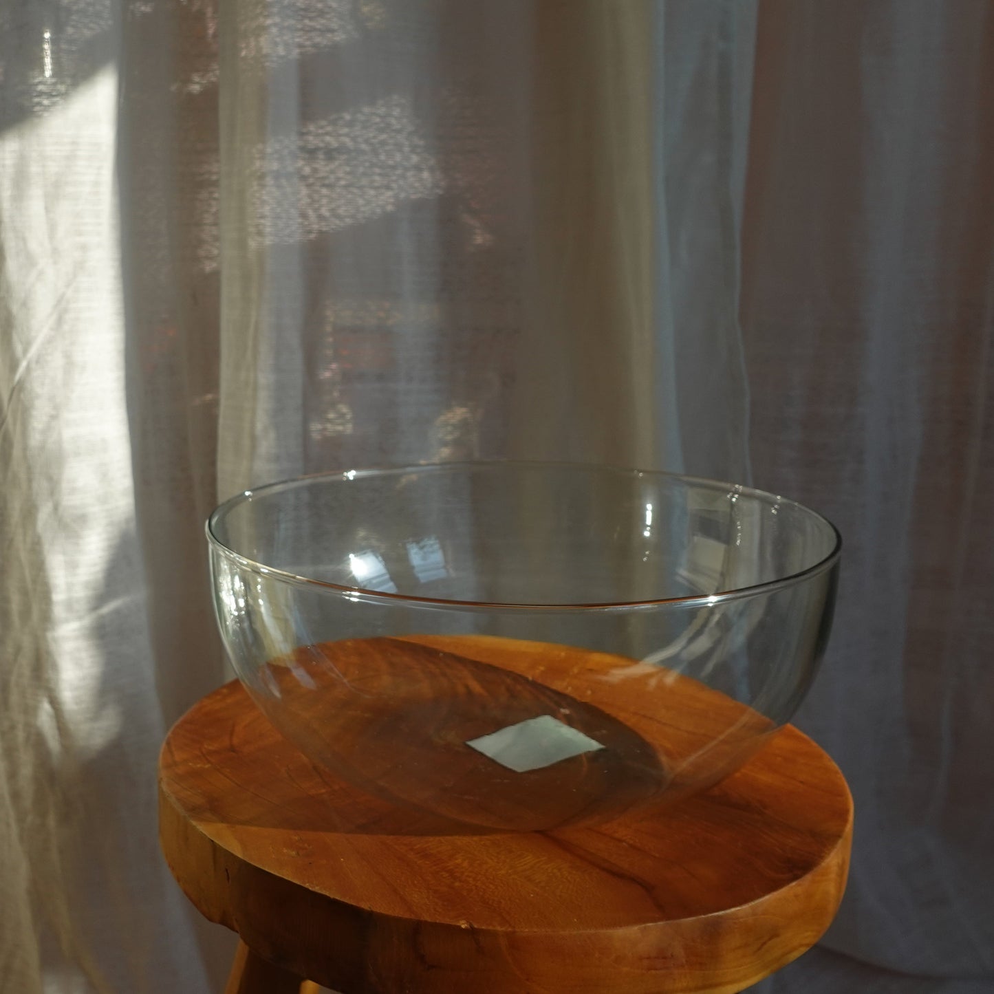 Glaskuppel Terrarium groß