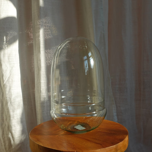 Ei Terrarium