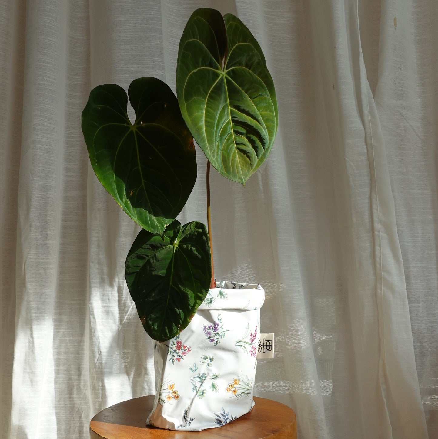 Pottcover floral