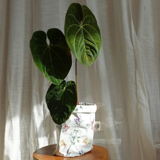 Pottcover floral