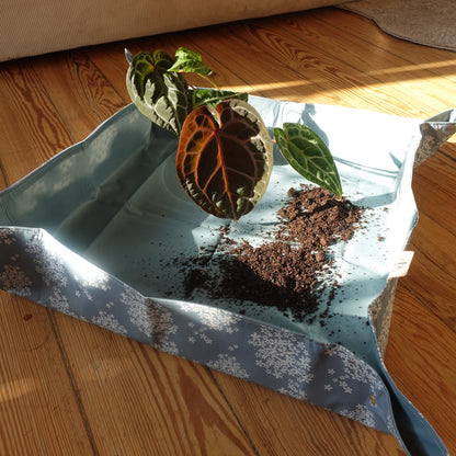 Plantmatt holunder blau